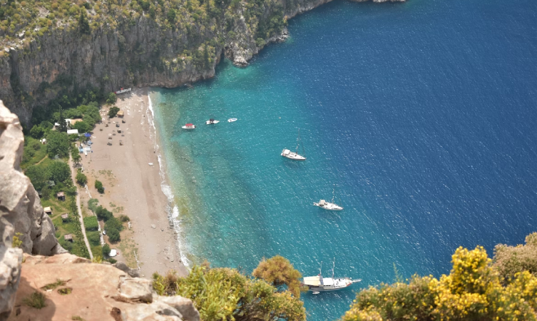 Butterfly beach, dolphin sighting trip