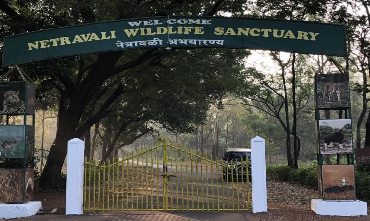 Netravali wildlife sanctuary